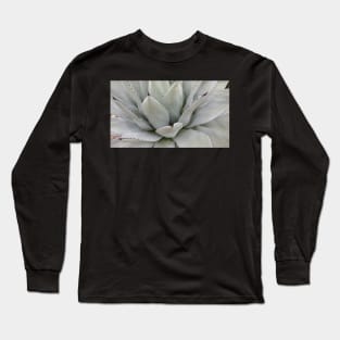 Gray Agave Plant Long Sleeve T-Shirt